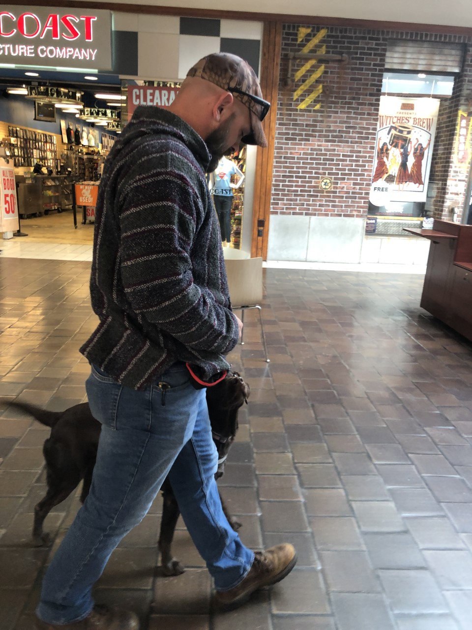 Therapy Dog Walking With Owner