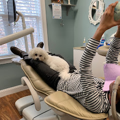 Therapy Dog With Owner At Dentist